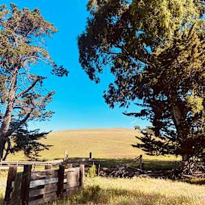 Harmony Ranch Boondock by the Barn