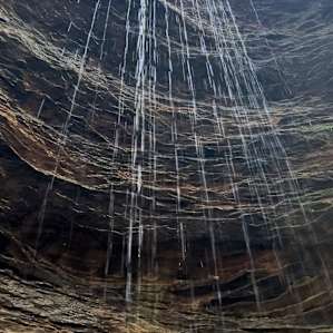 Forest waterfall.