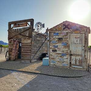 Desert Vineyard Camping