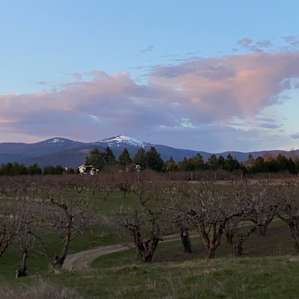 Hidden Acres Orchards