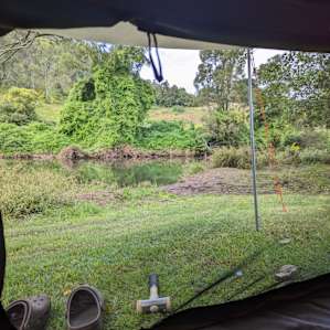 Lower Platypus Hole Sarabah Stud