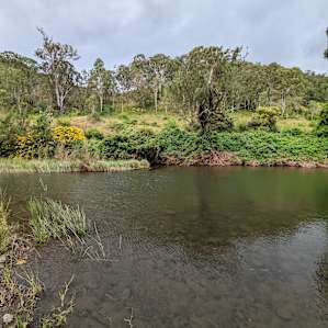 Lower Platypus Hole Sarabah Stud