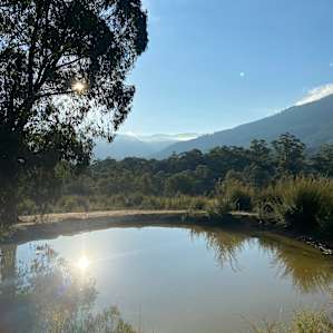 Goanna Grounds