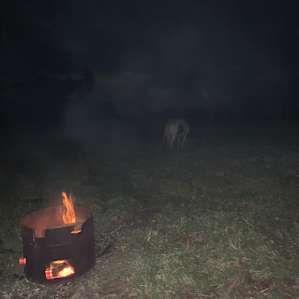 Baron Ridge Campsite