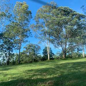 Baron Ridge Campsite