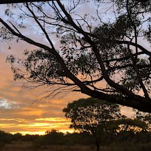 Magpie Bush Site