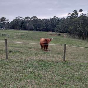 Meeting one of the loved family members