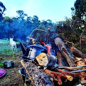 Hot cuppa, cold morning