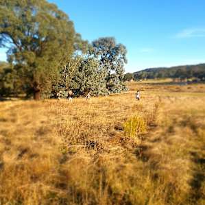 Boxgrove Campsites