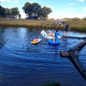 Boxgrove Campsites