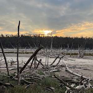Beaufort River Retreat
