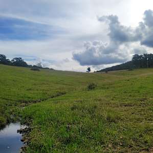 Free Range Camping - bit glamping