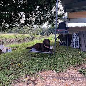 Eltham Station Campground
