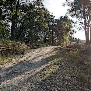 Secluded Bush Camping!