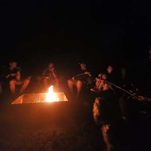 BeeHaven