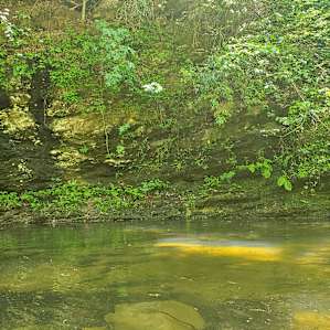 The creek is a short walk down hill from The Knoll