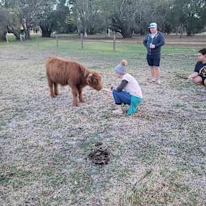 Perron Estate Camping