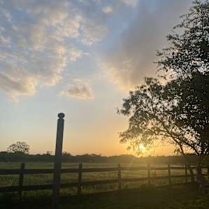 Stunning sunset.