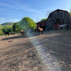 Horse barn