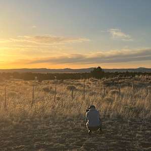 Sunset at the S