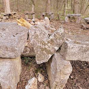 OMS Camp, Site 2
