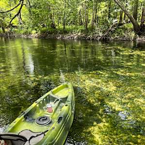 Spacious Oak Hammock