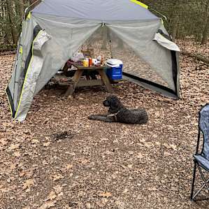 Tent Camping In The Woods Near Lake