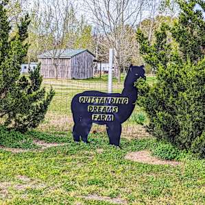 Alpaca Farm