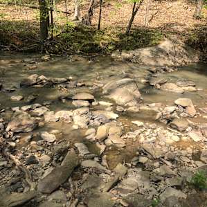 Secluded Wooded Creek Oasis