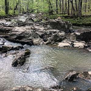 Secluded Wooded Creek Oasis