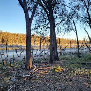 Beaufort River Retreat