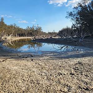 Beaufort River Retreat