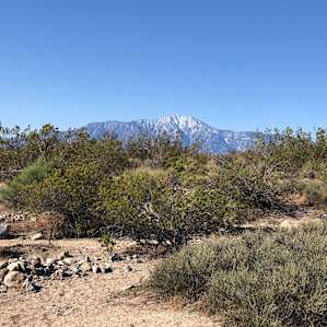 Panoramic Desert - Boulder