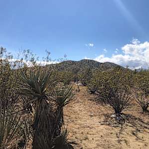 Panoramic Desert - Boulder