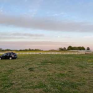 Cavvietta Quarter Horse & Cattle Co