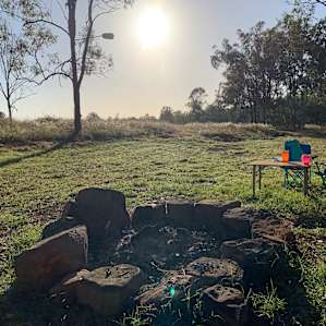 Gums on Billabong