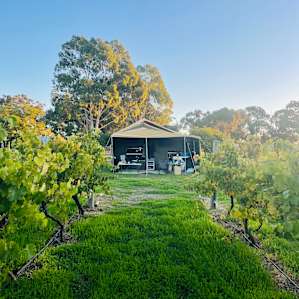 Vineyard, Stirling Range Views
