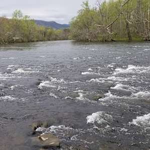The River Life