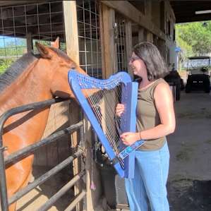 Equestrian Retreat