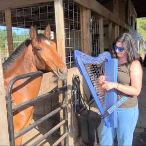 Equestrian Retreat