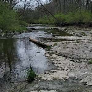 Railroad creek camp ground