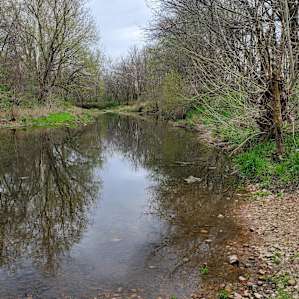 Campsites on Horse Ranch with Creek
