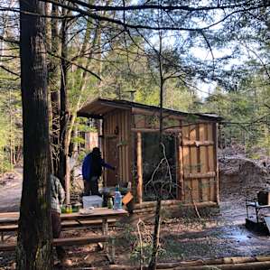 Cedar Creek Forest Camping