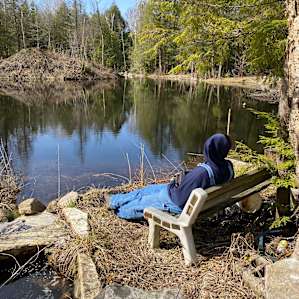 Cedar Creek Forest Camping