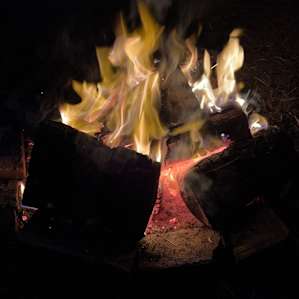 Mountain View Oak Tree Campsites