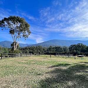 Mountain View Oak Tree Campsites