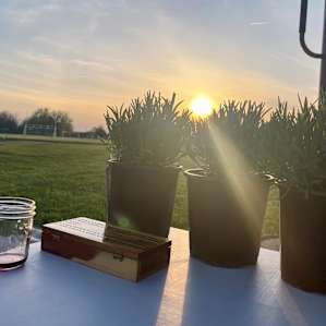 Relaxing, Peaceful Lavender Farm