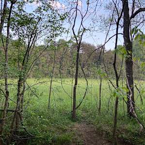 Providence Landing Grass Strip
