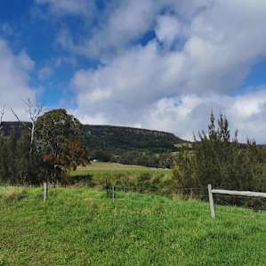 Wynola Country Cousin PlatypusReach
