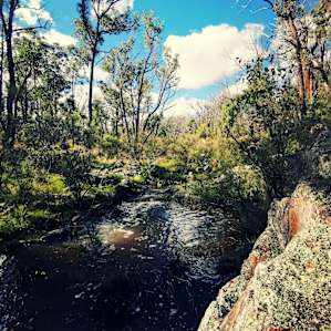 Back to Nature Bush Camping